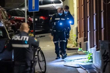 Personne poignardée à Oslo - deux arrêtés - 18