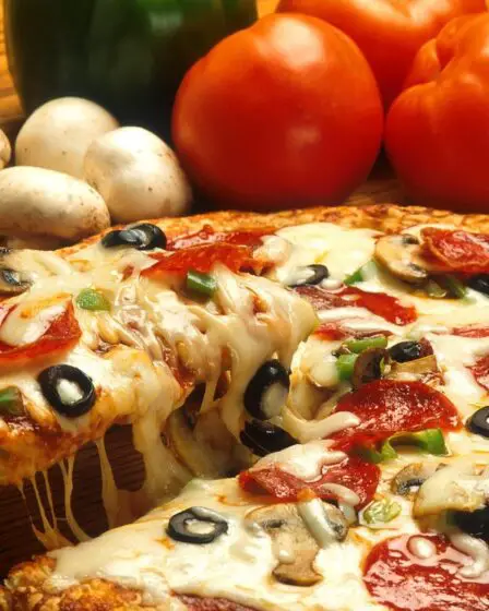 Les ventes de pizzas surgelées ont atteint un nouveau record en 2017 6 Les ventes de pizzas surgelées ont atteint un nouveau record en 2017 - 5