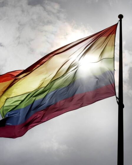 Le drapeau de la fierté devant la mairie de Melhus a disparu 5 Le drapeau de la fierté devant la mairie de Melhus a disparu - 4