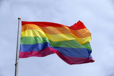 Quelqu'un a enlevé le drapeau de la fierté dans une école d'Oslo et a tenté de l'incendier - 18