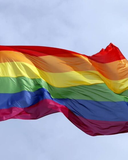 Des adolescents ont arraché des drapeaux de la fierté à Gjøvik - la police demande des pourboires - 28