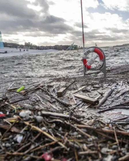 Analyse : 80 % des déchets plastiques le long des côtes norvégiennes proviennent de sources norvégiennes 2 Analyse : 80 % des déchets plastiques le long des côtes norvégiennes proviennent de sources norvégiennes - 1
