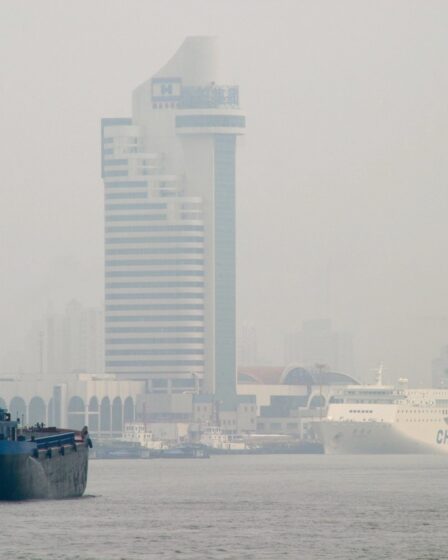 La Chine va créer un marché national d'échange de droits d'émission de carbone 11 La Chine va créer un marché national d'échange de droits d'émission de carbone - 10