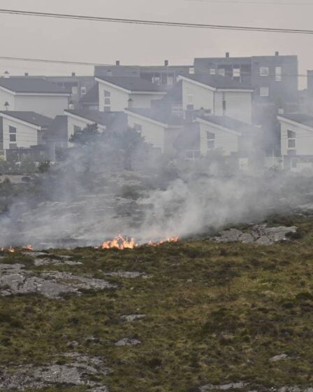 La police a reçu plusieurs indices en lien avec le grand incendie de forêt à Sotra - 22