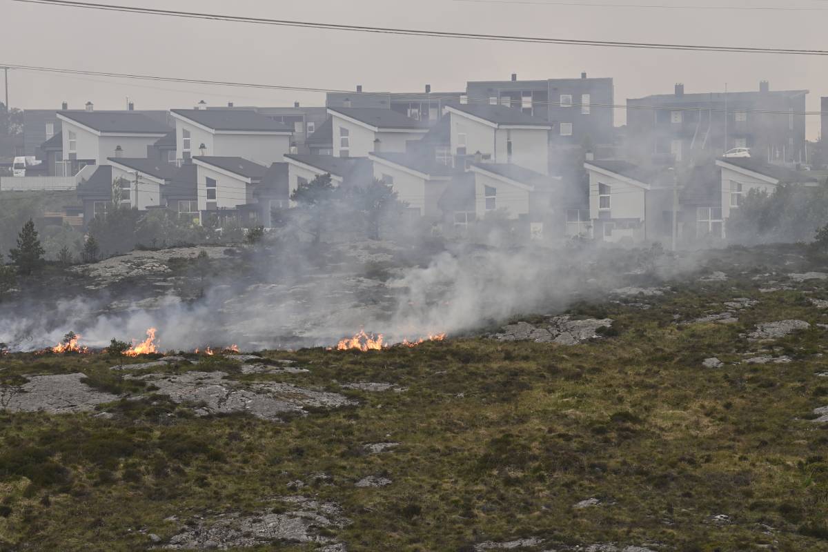 La police a reçu plusieurs indices en lien avec le grand incendie de forêt à Sotra 4 La police a reçu plusieurs indices en lien avec le grand incendie de forêt à Sotra - 3