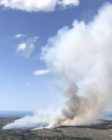 PHOTO : Plusieurs milliers de personnes pourraient être évacuées en lien avec le grand incendie de forêt à Sotra - 25