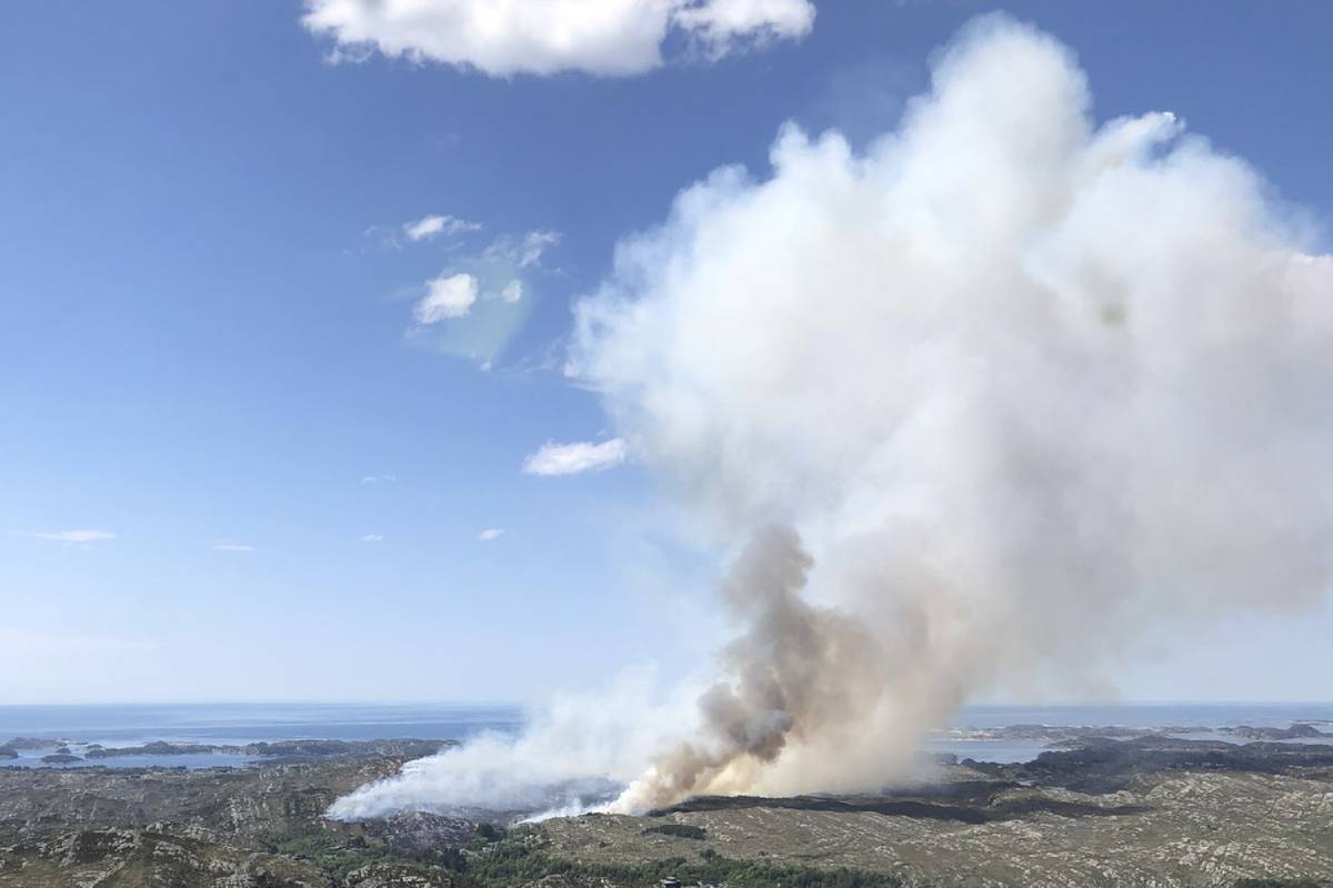 PHOTO : Plusieurs milliers de personnes pourraient être évacuées en lien avec le grand incendie de forêt à Sotra 4 PHOTO : Plusieurs milliers de personnes pourraient être évacuées en lien avec le grand incendie de forêt à Sotra - 3