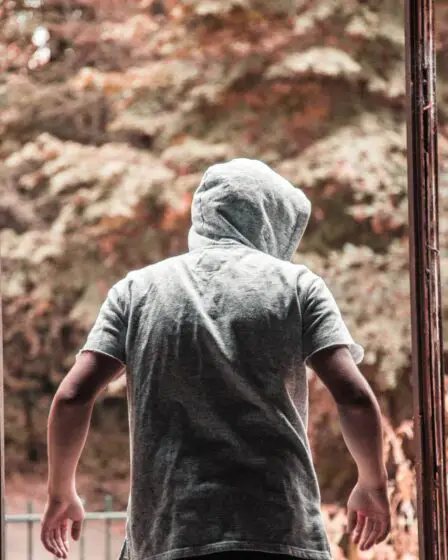 La Norvège a enregistré moins de cambriolages à domicile pendant la pandémie de corona 26 La Norvège a enregistré moins de cambriolages à domicile pendant la pandémie de corona - 25