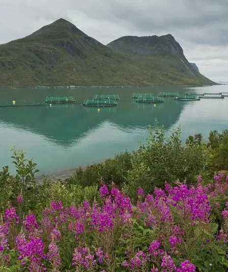 Les fermes piscicoles remplacent le diesel par l'électricité - 1