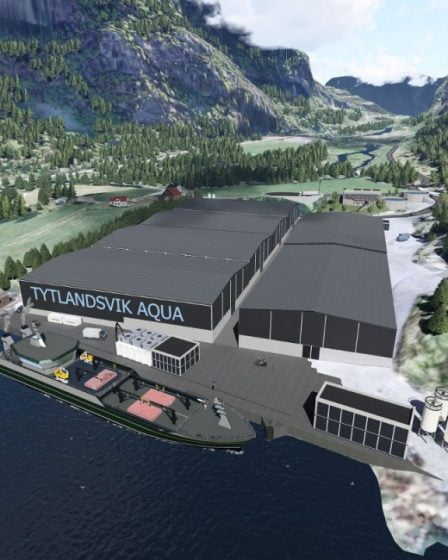 Prêt pour l'initiative du saumon géant à Hjelmeland 6 Prêt pour l'initiative du saumon géant à Hjelmeland - 5