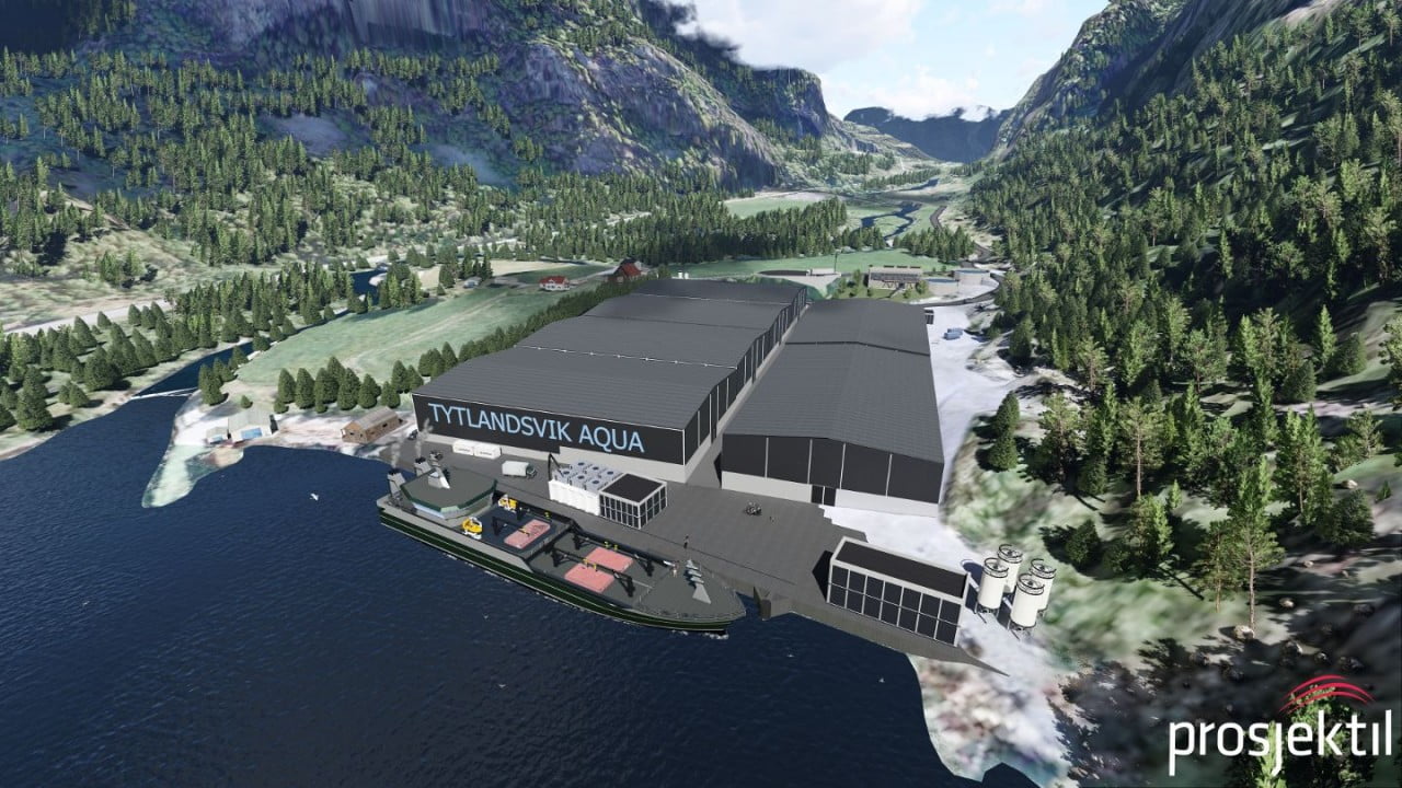 Prêt pour l'initiative du saumon géant à Hjelmeland 4 Prêt pour l'initiative du saumon géant à Hjelmeland - 3