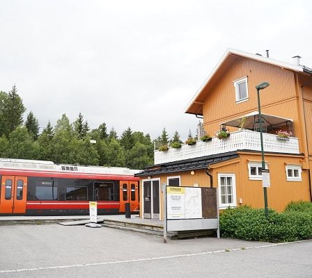 Un homme dans la soixantaine arrêté après une alerte à la bombe contre le train 17 Un homme dans la soixantaine arrêté après une alerte à la bombe contre le train - 16