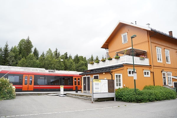 Un homme dans la soixantaine arrêté après une alerte à la bombe contre le train 4 Un homme dans la soixantaine arrêté après une alerte à la bombe contre le train - 3