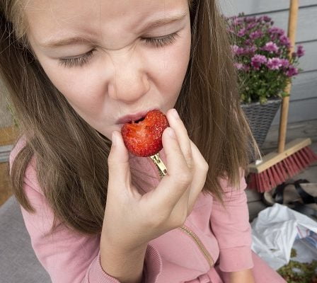 Une nouvelle variété de fraise a été nommée 2 Une nouvelle variété de fraise a été nommée - 1