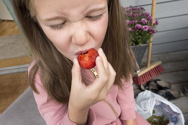 Une nouvelle variété de fraise a été nommée 4 Une nouvelle variété de fraise a été nommée - 3