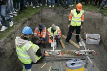 Une famille viking identifiée grâce à une nouvelle technologie ADN - 18