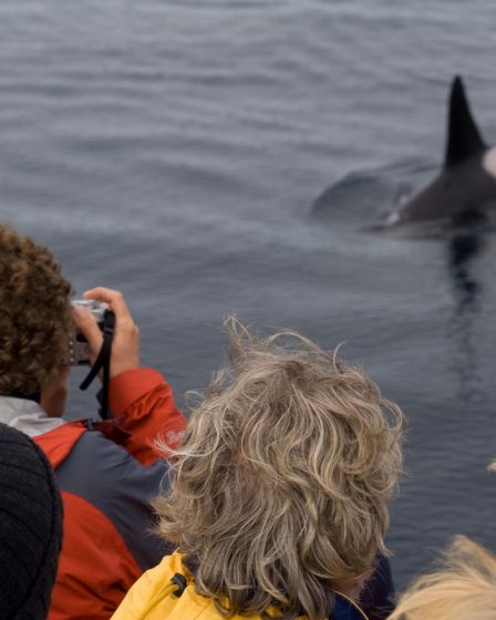 Les touristes chassent les pêcheurs de la mer 20 Les touristes chassent les pêcheurs de la mer - 19