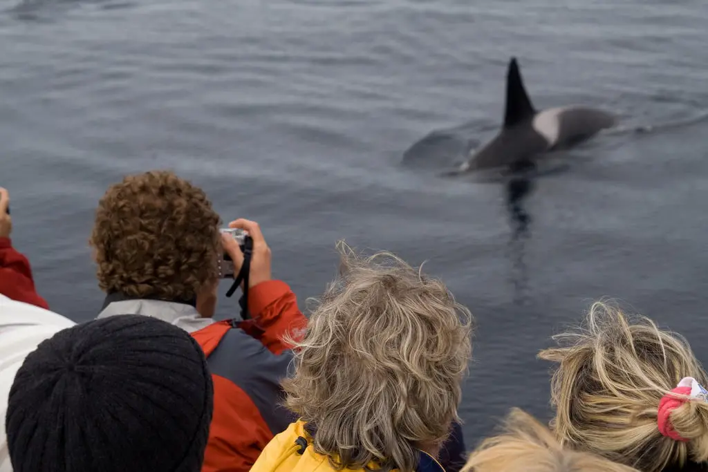 Les touristes chassent les pêcheurs de la mer 4 Les touristes chassent les pêcheurs de la mer - 3