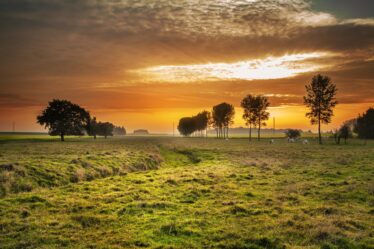 Le gouvernement veut interdire la culture des marais - 10
