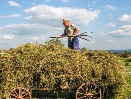 Les actions des agriculteurs bouleversent les conservateurs 11 Les actions des agriculteurs bouleversent les conservateurs - 10