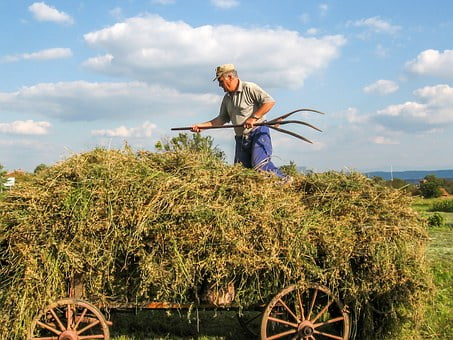 Les actions des agriculteurs bouleversent les conservateurs 4 Les actions des agriculteurs bouleversent les conservateurs - 3