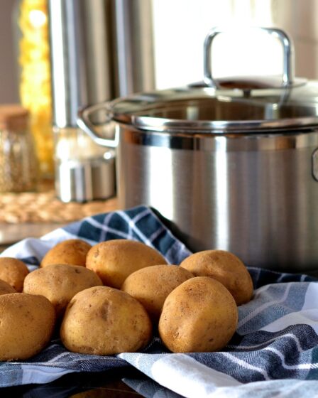Des pommes de terre nouvelles en route vers les magasins 29 Des pommes de terre nouvelles en route vers les magasins - 28