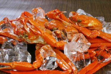 Le crabe des neiges (Snøkrabbe) pourrait devenir la nouvelle morue - 10