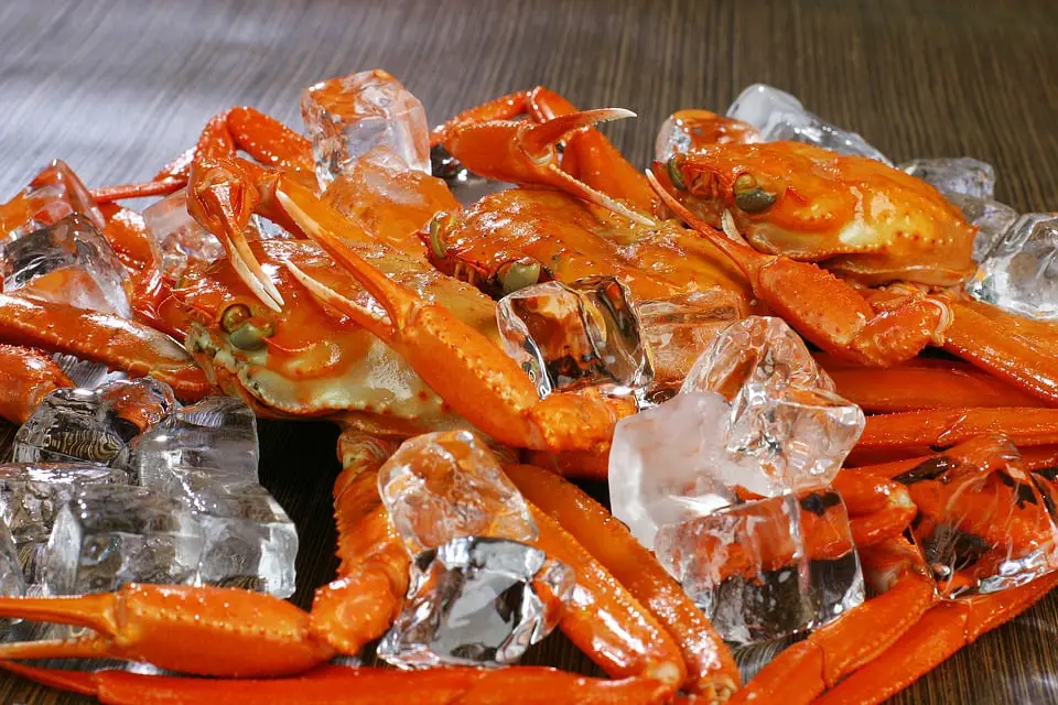 Le crabe des neiges (Snøkrabbe) pourrait devenir la nouvelle morue 4 Le crabe des neiges (Snøkrabbe) pourrait devenir la nouvelle morue - 3