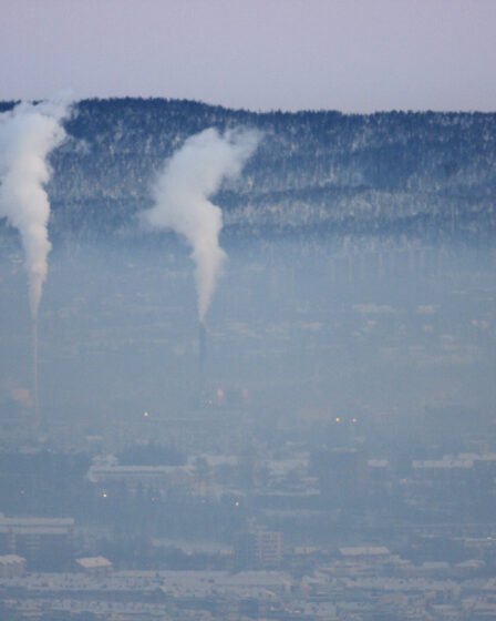 La qualité de l'air en 2019 était meilleure qu'au cours de nombreuses années 14 La qualité de l'air en 2019 était meilleure qu'au cours de nombreuses années - 13