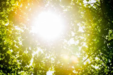 Le premier jour d'été de cette année est un fait - 20