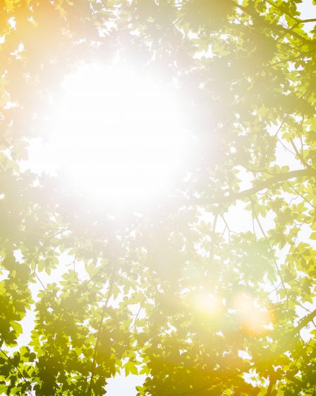 Le temps tourne - températures élevées pour la semaine - 28