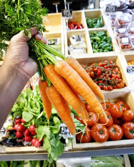Le ministère de l'Agriculture fournit des prévisions pour les baies et les légumes d'été 26 Le ministère de l'Agriculture fournit des prévisions pour les baies et les légumes d'été - 25