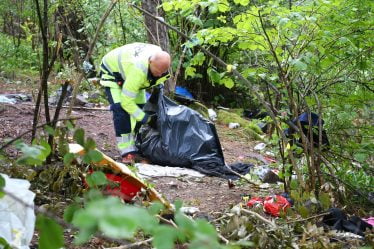 Problèmes majeurs avec les ordures et les excréments des visiteurs - 18