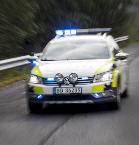 La police a retrouvé 80 moutons morts à la ferme de Central Troms 22 La police a retrouvé 80 moutons morts à la ferme de Central Troms - 21