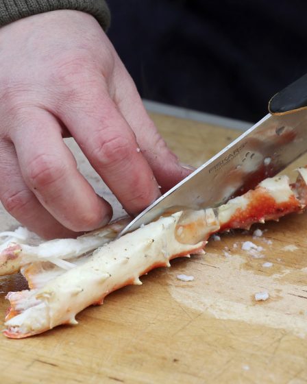 Jusqu'à présent cette année, la Norvège a exporté des produits de la mer pour une valeur de 31 milliards 25 Jusqu'à présent cette année, la Norvège a exporté des produits de la mer pour une valeur de 31 milliards - 24