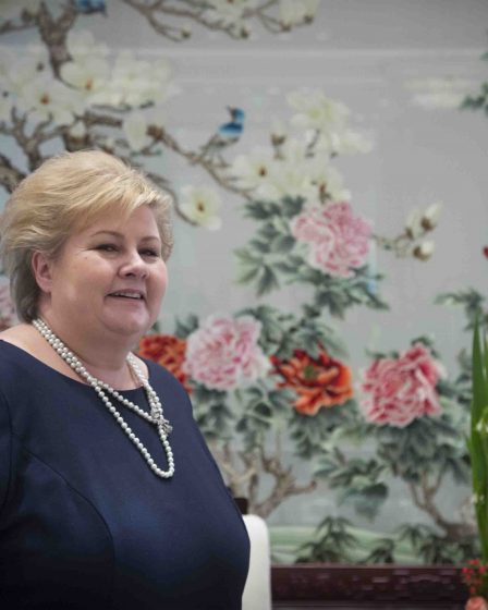 Des plans se préparent pour que le saumon norvégien soit vendu via la plus grande boutique en ligne de Chine 26 Des plans se préparent pour que le saumon norvégien soit vendu via la plus grande boutique en ligne de Chine - 25