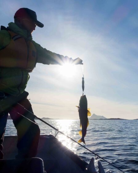 Le ministre des Pêches promet des mesures contre les contrebandiers de poisson 5 Le ministre des Pêches promet des mesures contre les contrebandiers de poisson - 4