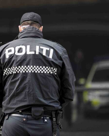 Un homme arrêté après un incident violent et sanglant dans le centre d'Oslo - 22