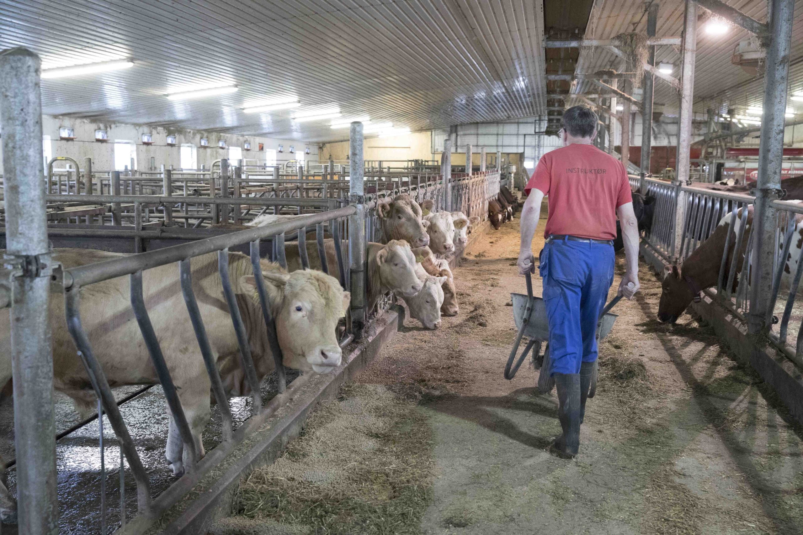 Huit agriculteurs sur dix gagnent des revenus en dehors de l'agriculture 4 Huit agriculteurs sur dix gagnent des revenus en dehors de l'agriculture - 3