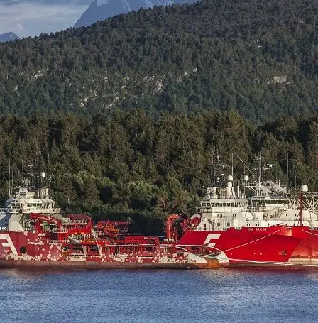 Une compagnie maritime géante norvégienne va embaucher pour la première fois depuis de nombreuses années - 19