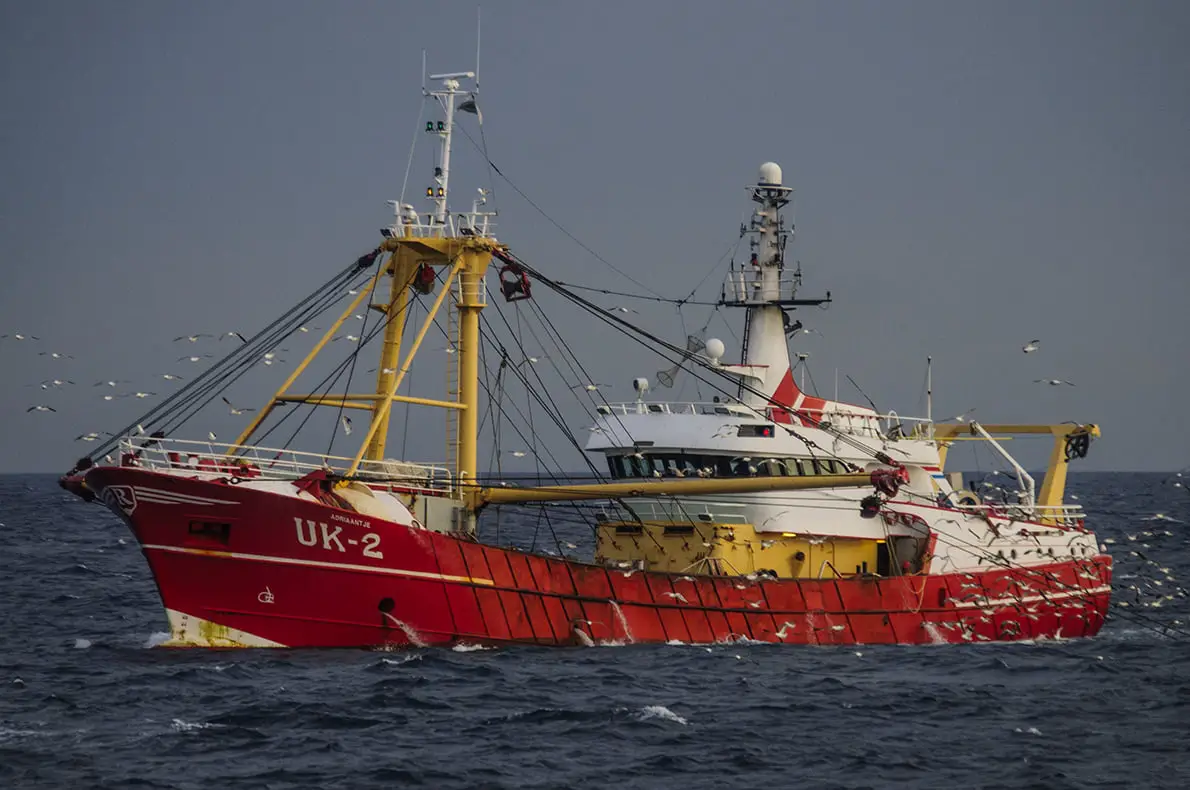 Le gouvernement danois dans le scandale de la pêche 4 Le gouvernement danois dans le scandale de la pêche - 3