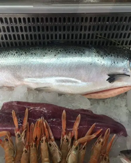 La Norvège a exporté des produits de la mer d'une valeur de 7,1 milliards de NOK en août 31 La Norvège a exporté des produits de la mer d'une valeur de 7,1 milliards de NOK en août - 30
