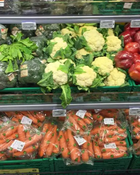 Les produits alimentaires en Norvège sont presque exempts de pesticides 29 Les produits alimentaires en Norvège sont presque exempts de pesticides - 28