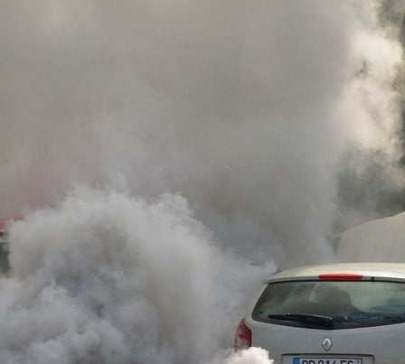 255 enfants sont détenus par crainte de la pollution de l'air à Bergen 2 255 enfants sont détenus par crainte de la pollution de l'air à Bergen - 1