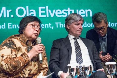 Le moratoire sur l'exploitation forestière dans les forêts indonésiennes est devenu permanent - 20