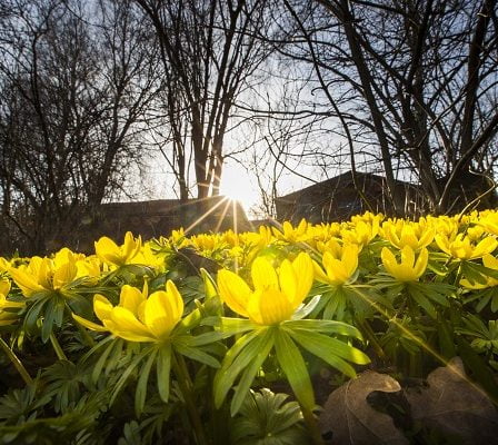 Avril devient un mois de plus en plus chaud 5 Avril devient un mois de plus en plus chaud - 4