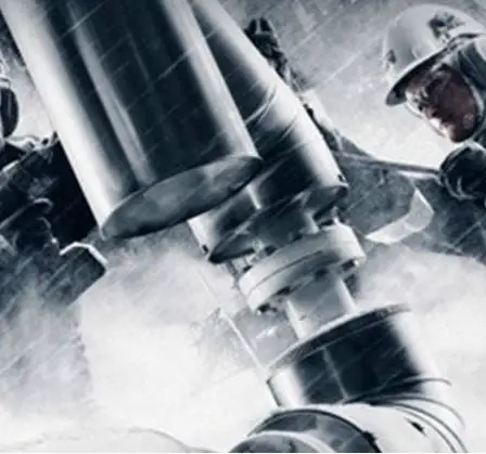 Beerenberg supprime 250 postes supplémentaires 29 Beerenberg supprime 250 postes supplémentaires - 28