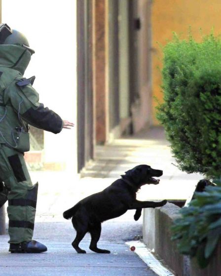 Enveloppes suspectes au commissariat de Drammen : la brigade antibombe est sur place 2 Enveloppes suspectes au commissariat de Drammen : la brigade antibombe est sur place - 1