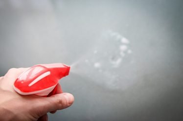 Jusqu'à 4 000 entreprises de nettoyage peuvent opérer illégalement - 6
