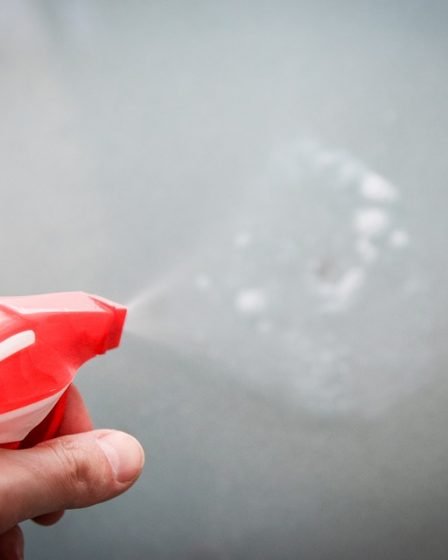 Jusqu'à 4 000 entreprises de nettoyage peuvent opérer illégalement - 23